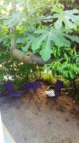 Holiday home Rue Marcel Palat - Photo3