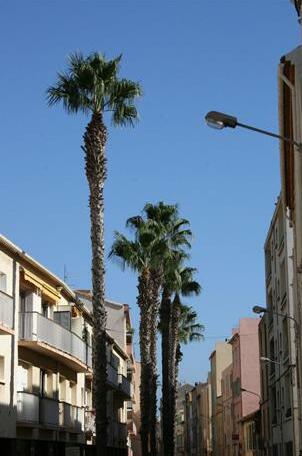 Hotel De La Baie Bandol - Photo4