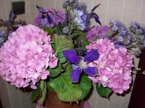 Chez Jocelyne Lhermite - Photo2