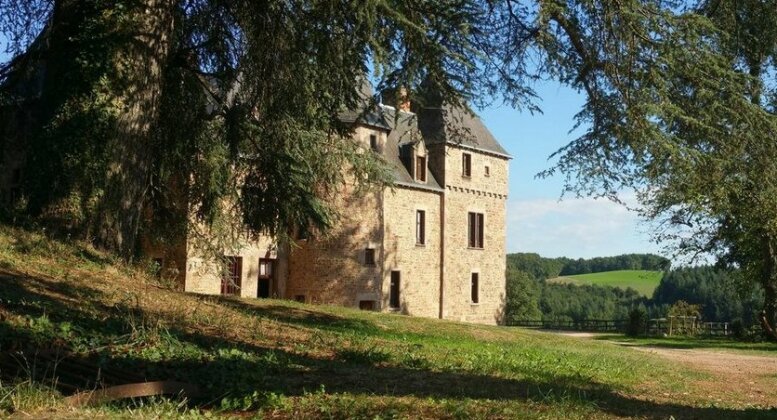 Chateau & Gites de Bussolles - Photo2