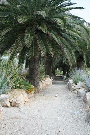 Carpe Diem Beaulieu-sur-Mer - Photo5