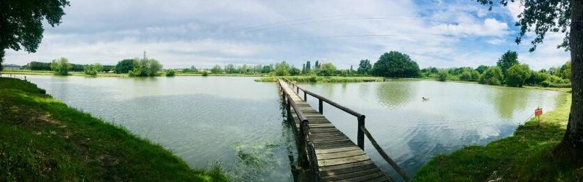 Domaine du vieux chene Bergerac