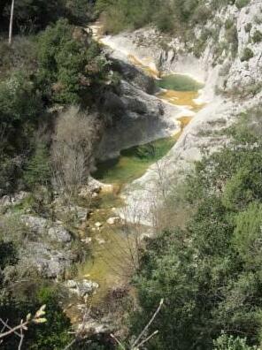 Gite Les Mimosas - Photo4