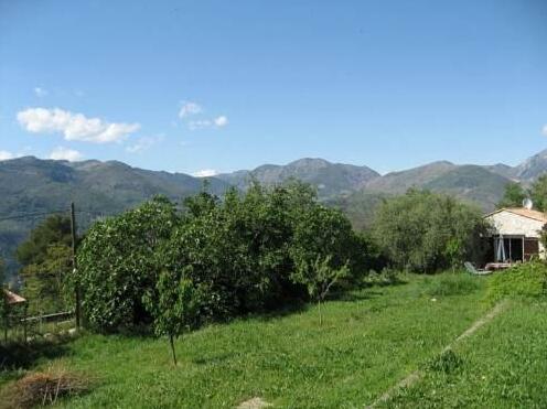 Gite Les Mimosas - Photo5