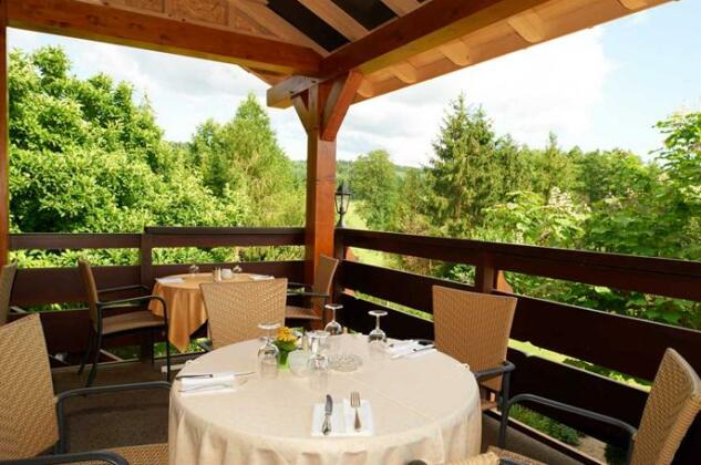 Hotel Restaurant des Vosges Birkenwald - Photo5