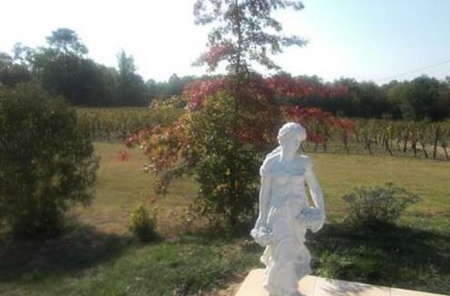 Domaine de Grand Homme - Photo4