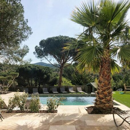 HomeStay Bormes - Photo3
