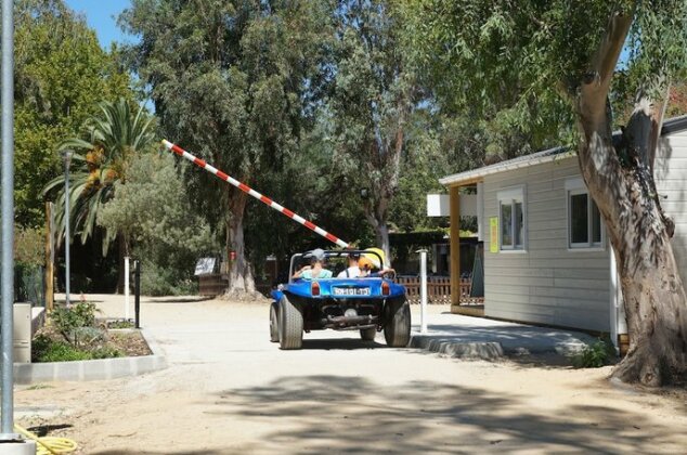 Camping International - Photo4