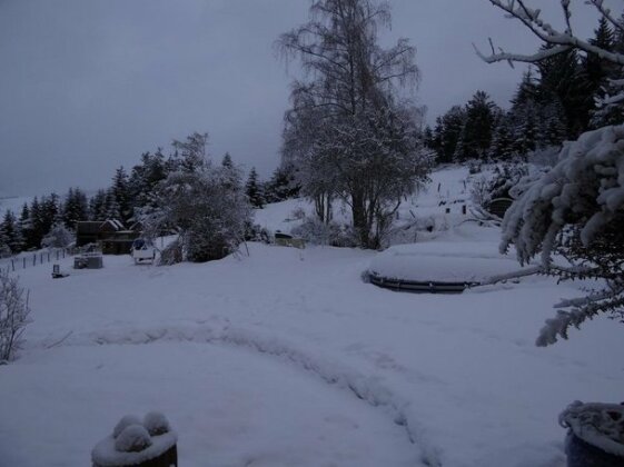 Domaine les Sapins - Photo5