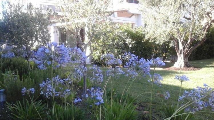 Bastide Saint Pierre - Photo5