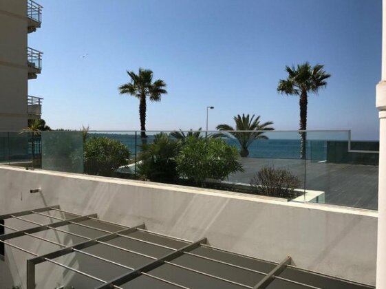 Palm beach Cannes - Photo4
