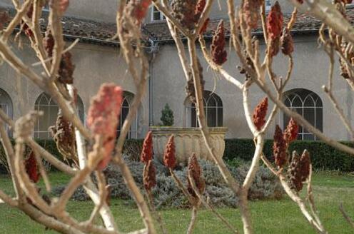 Notre Dame de l'Abbaye - Photo2