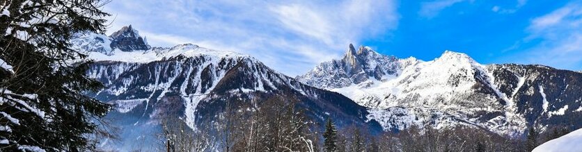Chalet Belvedere Chamonix-Mont-Blanc - Photo2