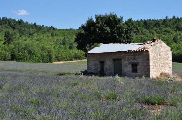 Le Mas des Anges Cheval-Blanc - Photo3