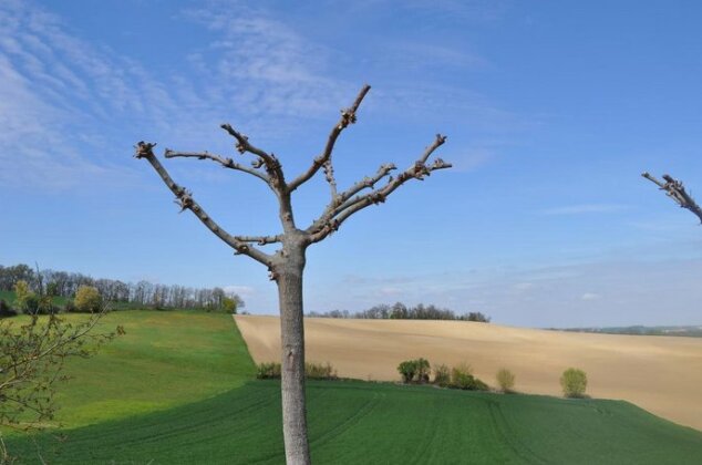 Le Mas des Anges Cheval-Blanc - Photo5