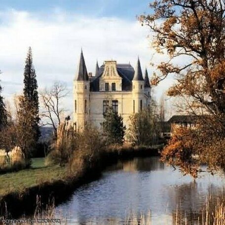 Chateau Camiac - Photo4