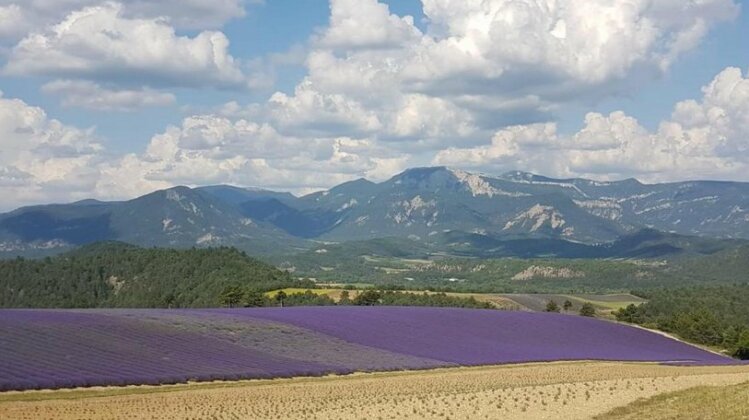 Le Glandasse