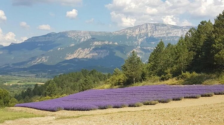 Le Glandasse - Photo3