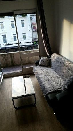 Grand Appartement Dijon