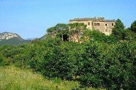 Chateau Calvello - Photo3