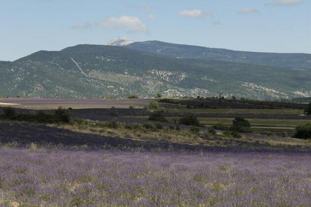 Chateau de la Gabelle - Photo5