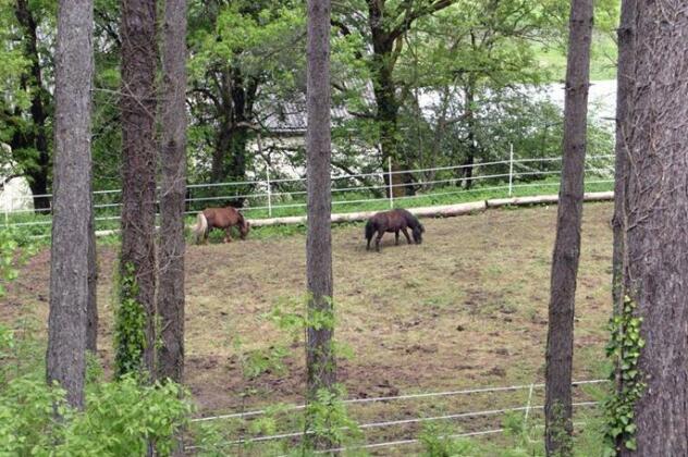 La Colline aux Chalets - Photo3