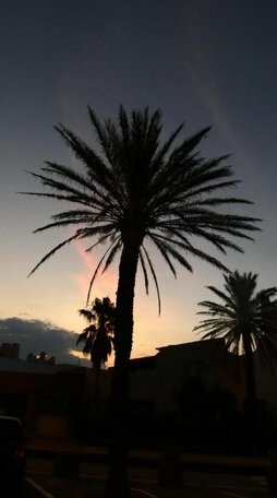 Loc-Saint-Tropez - Photo3