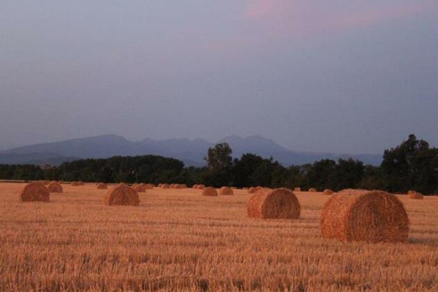 Gite Ane d'Ariege - Photo4