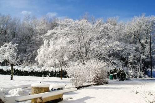 Domaine du Chai - Roulotte - Photo5