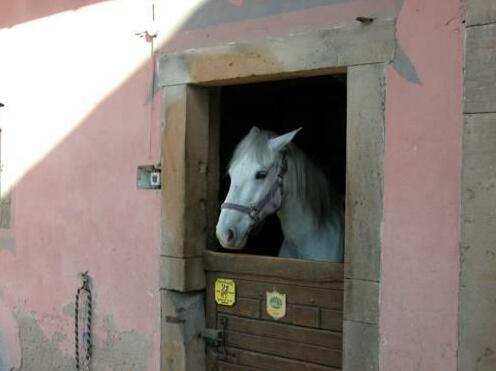 Chambres d'Hotes A la Ferme - Photo4