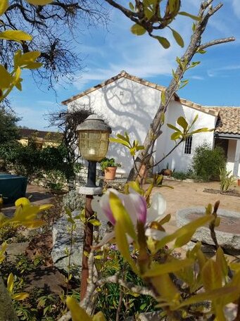 L'enclos du vieux chene - Photo4