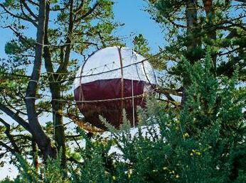 Les Nids du Parcabout - Photo3