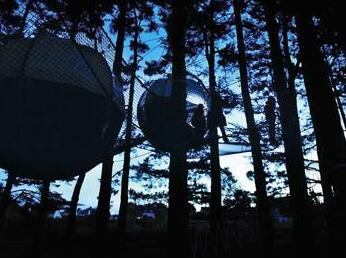 Les Nids du Parcabout - Photo4