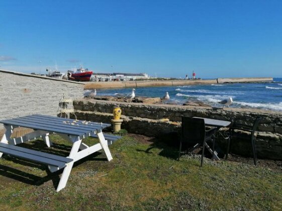La Rose des MERS - Photo4