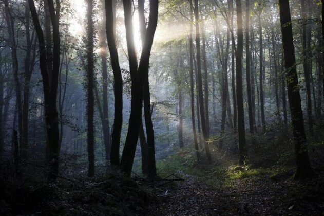 La Colline des Renards - Photo3