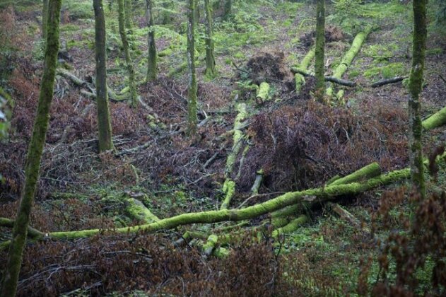 La Colline des Renards - Photo5