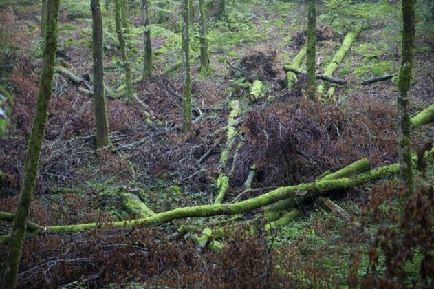 La Colline des Renards - Photo5