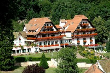 Hotel Restaurant Des Vosges