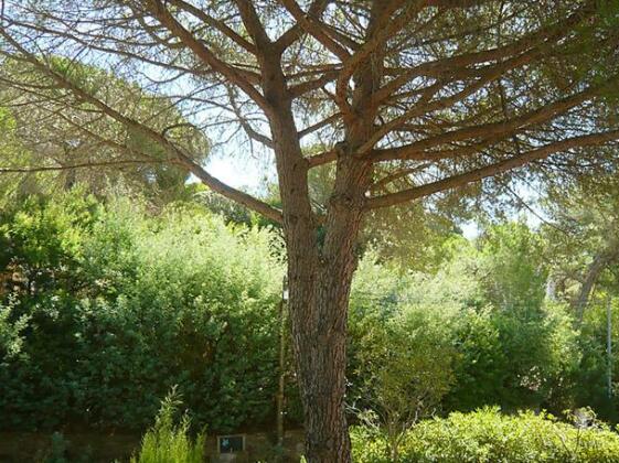 Interhome - Gigaro Plage - Photo4