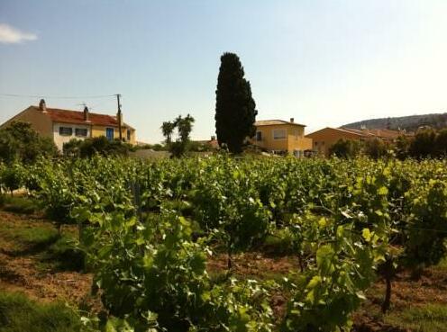 Les Camelias de Julienne - Photo2