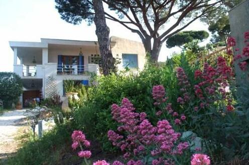 Studios Villa Coeur sur Mer - Photo3