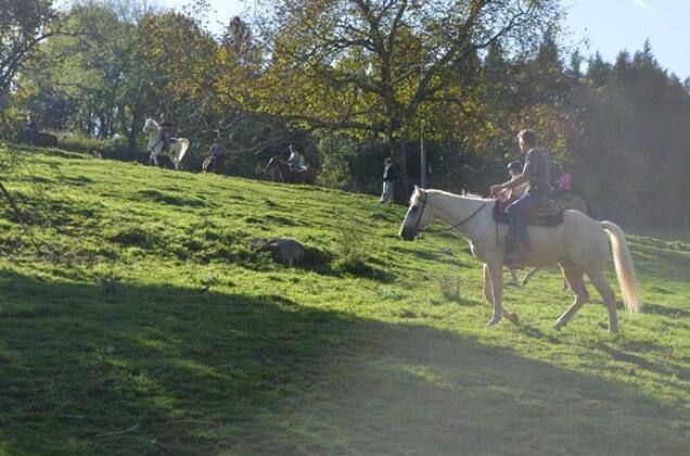 Domaine Du Randier - Photo4