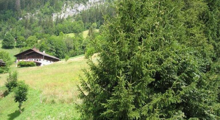 Studio Bel'Alp - Photo4