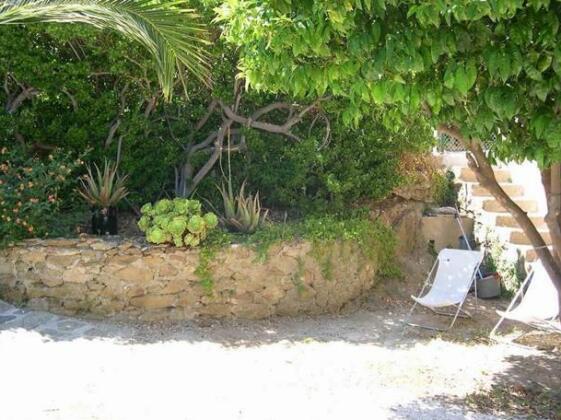 Le Pin Parasol - Photo4