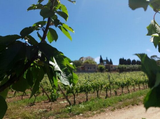 Domaine De La Navicelle - Merlot - Photo4