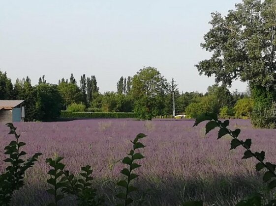 Au pied du Ventoux Le Thor - Photo2