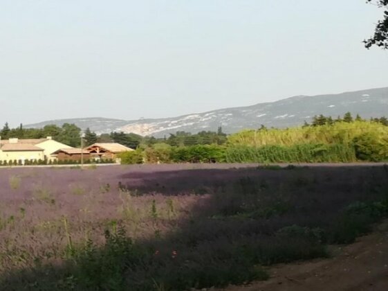 Au pied du Ventoux Le Thor - Photo4