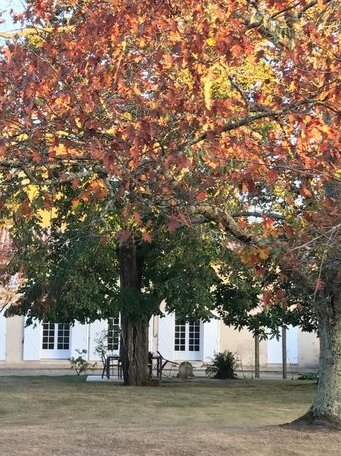 Chambres d'hotes du bocage - Photo2