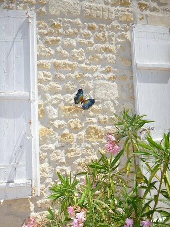 Domaine du Papillon - Photo5