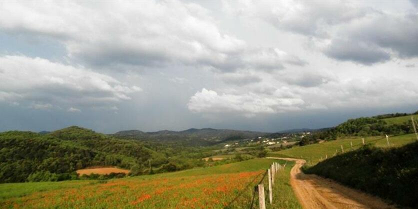 Domaine De Pommayrac - Photo3